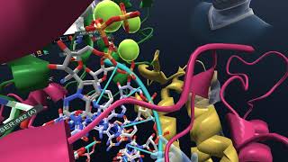 COVID-19 in VR: How Remdesivir interacts with the Coronavirus RNA Polymerase protein