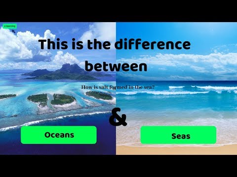 Whats is the difference between a sea and an ocean?