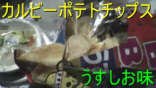 【カチカチマーク】カルビー ポテトチップス ビッグバッグ うすしお味 【世界のイケメン】