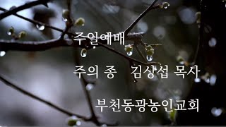 24.05.05 부천동광농인교회 Bucheon-dong Church for the Deaf /김상섭 목사/설교제목(창조하신 이의 형상)골로새서3장10절