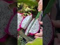 Fresh Cutting Dragon Fruit   #shorts #fruit #fruitcutting  #satisfying #food #oddlysatisfying #short