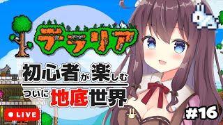 【Terraria】ついに地底世界！地獄でヘルストーン探索を楽しむ初心者のテラリア実況【Vtuber/なちゅモカ】16日目