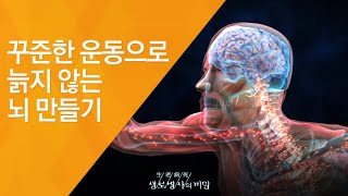 꾸준한 운동으로 늙지 않는 뇌 만들기 - (20130417_신인류의 조건 - 2회 방송)_공사창립 40주년 특집 100세시대, 신인류의 조건 제2부 늙지 않는 뇌