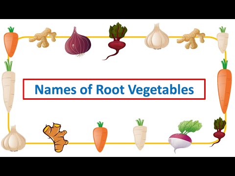 Which plants store food in roots?