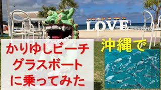 【 2022 沖縄 グラスボート 】　まるで水族館⁉ 　 #かりゆしビーチ で #グラスボート に乗った😊　 #沖縄かりゆしビーチリゾート・オーシャンスパ に宿泊して行ってみた🤙😊