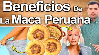 Para Qué Sirve La Maca? - Beneficios Para La Salud, Belleza Y Más