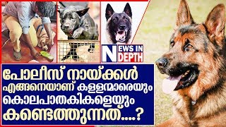 പോലീസ് നായ്ക്കള്‍ കൊലയാളികളെ കണ്ടെത്തുന്നത് ഇങ്ങനെ.. I About dog squad