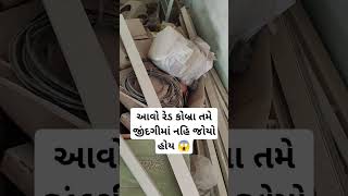 આવો રેડ કોબ્રા તમે જીંદગીમાં નહિ જોયો હોય 😱 #trending #viral #Reels #funny