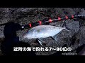 【神津島】ショアジギング カンパチ ヒレナガ 祇苗 エボシ イサキ キハダ、カツオ回遊 神津島 ショアジギング カンパチ イサキ キハダ カツオ