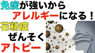 【花粉症】免疫が強いからアレルギーになる！喘息もアトピー性皮膚炎も免疫が優秀すぎることが原因！