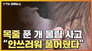 [자막뉴스] 목줄 푼 개에 물린 6살 아이...가해 견주 \