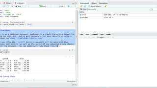 R - Knitr, Basic Introduction
