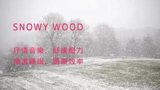 【SNOWY WOOD】森林雪景、森の雪景色、抒情音樂、Lyric music【Olav奧拉的療癒時間】