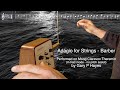 BARBER 'Adagio for Strings' On Moog Claravox Theremin by Gary P Hayes. 'Amelie' 'Platoon'