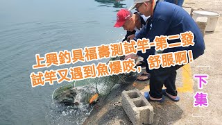 【福壽魚之章】[下集]上興釣具福壽魚測試竿-第二發，試竿又遇到魚爆咬，真的超舒服的！