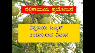 Sudina Surabhi | ನೆಲ್ಲಿಕಾಯಿ ಜ್ಯೂಸ್ ತಯಾರಿಸುವ ವಿಧಾನ | How To Make Amla Juice