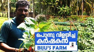 മണ്ണിൽ പൊന്നു വിളയിച്ച കർഷകൻ | ബിജുവിന്റെ പച്ചക്കറി തോട്ടം | Organic Farm | Organic Vegitable Farm