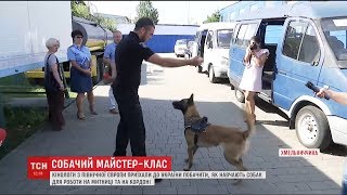 До України з Фінляндії приїхали кінологи подивитись, як вчать прикордонних собак