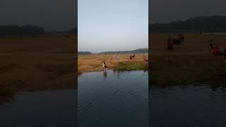 ചാലിയാർ River Land Boating. #chaliyar #river #boating #evening #shorts #new #kerala #keralatourism