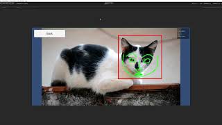 CatFaceTrackingFromVideo
