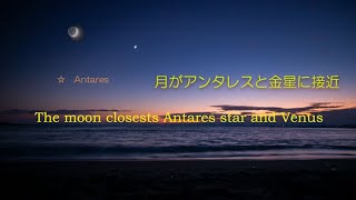 【4Kタイムラプス】月🌙とアンタレスと金星が接近  2021年10月 The moon closests Antares star and Venus at coast タイムラプス