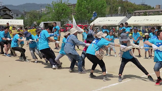 井口町民体育祭2017　一般綱引き