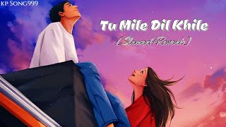 Tu Mile Dil Khile❤️‍🔥[Slowed+Reverb] Full Song || #tumiledilkhile #slowedandreverb #trending  #song