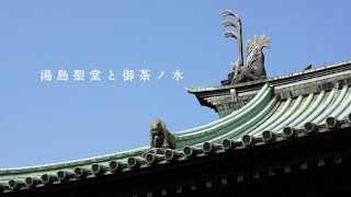 東京の街角で【 湯島聖堂 】Yushima Seidō Shrine  2014-3-17