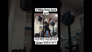 스쿼트 170kg 5rep 4set @5 #squat