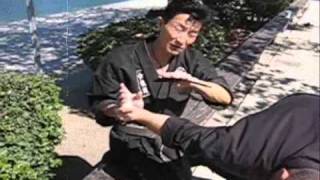 REPOST (seated position technique #2) video #202