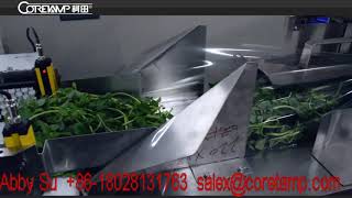 watercress packing machine, watercress packaging machine,watercress wrapping machine