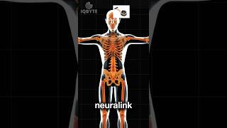 Elon Musk: How Neuralink can REANIMATE the body