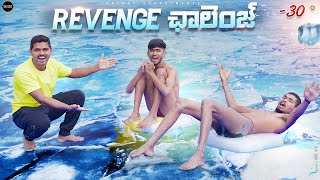 Surviving On  Ice Challenge - 30 Degree 🥶 ఈ Revenge Challenge మాములుగా లేదు.…🔥🔥 Telugu Experiments