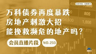 万科债券再度暴跌，房地产刺激大招能挽救濒的地产吗？【会员直播片段】