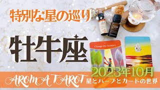 【おうし座】2023年10月運勢🕊素直な気持ちが原動力となる🔥後半からは対人関係が賑やかに✨星とカードからのメッセージ🌟【タロット＋オラクルカード＋アロマ】仕事・恋愛・人間関係・お金