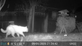 Videos Only Edit GardePro A3 Trail Camera 2 of 2 Worcester, England 4th To 10th January 2025