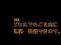 真央流空手　裏拳 うらけん の打ち込み方