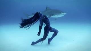 Tigress Sharks - World's Most Viral Shark Conservation PSA