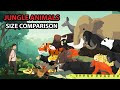 Jungle Animals Size Comparison | Animal Animation