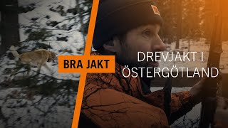 Drevjakt i Östergötland - \