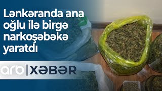 Lənkəranda ana oğlu ilə birgə narkoşəbəkə yaratdı - ARB Xəbər