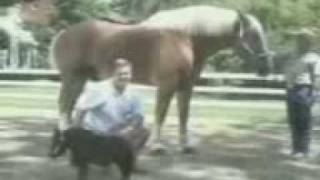 hisan 9azam.flv hisan 9azam.flv