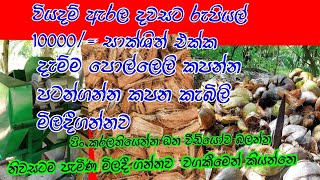 පොල්ලෙලි කැබලි කරල දවසට රුපියල්  10000/  ආදායමක් ලබාගන්න කාන්තා ඔබට විශේෂයෙන්