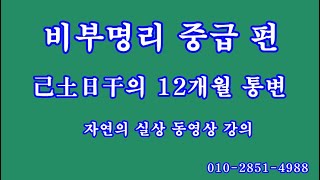 116 비부명리 중급편, 己土日干의 12개월 통변 3부