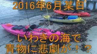 2016年6月某日 いわきの海で青物に悲劇が…