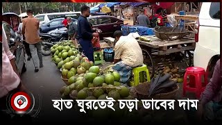 হাত ঘুরতেই চড়া ডাবের দাম | coconut | Jago News