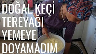 DOĞAL KEÇİ TEREYAĞ YAPIMI /YAPMASI YEMESİ KADAR LEZZETLİ /KÖY GÜNLÜKLERİ