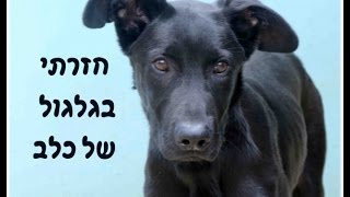 לא לילדים - סיפור מצמרר שמסביר מה פירוש: \