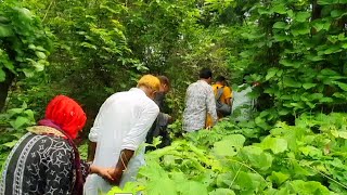 মিরসরাইর জলে-জঙ্গলে,পাহাড়ে-পর্বতে-আমরা ভ্রমন পিপাসুদের পদচারণা।