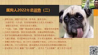 肖狗 属狗 2022年 运势 Dog in the Year of Tiger 2022